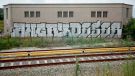 pankow_49.jpg
