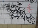 tagg_237.jpg