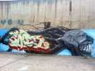 DSC00043.JPG