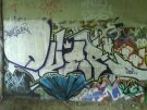 DSC00156.JPG