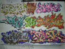 DSCN2407.JPG