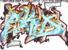 lastscanblue_skid.jpg
